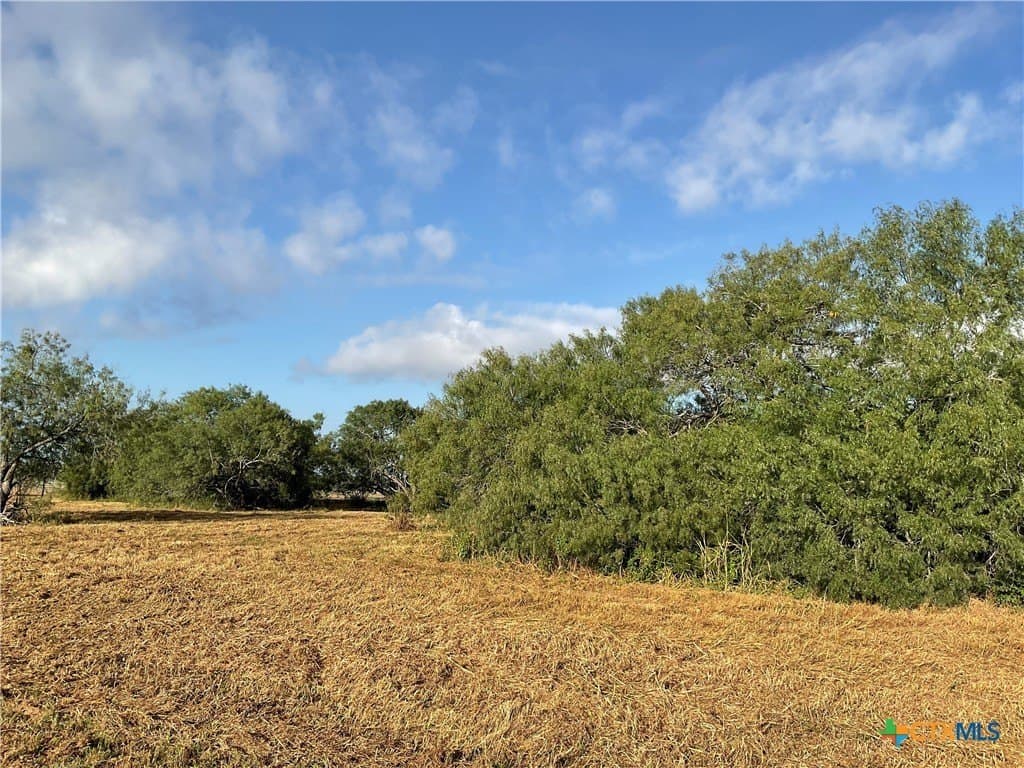 5 acres in Texas County - photo 6