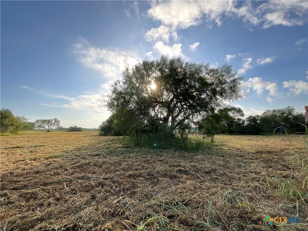 5 acres in Texas County - photo 14
