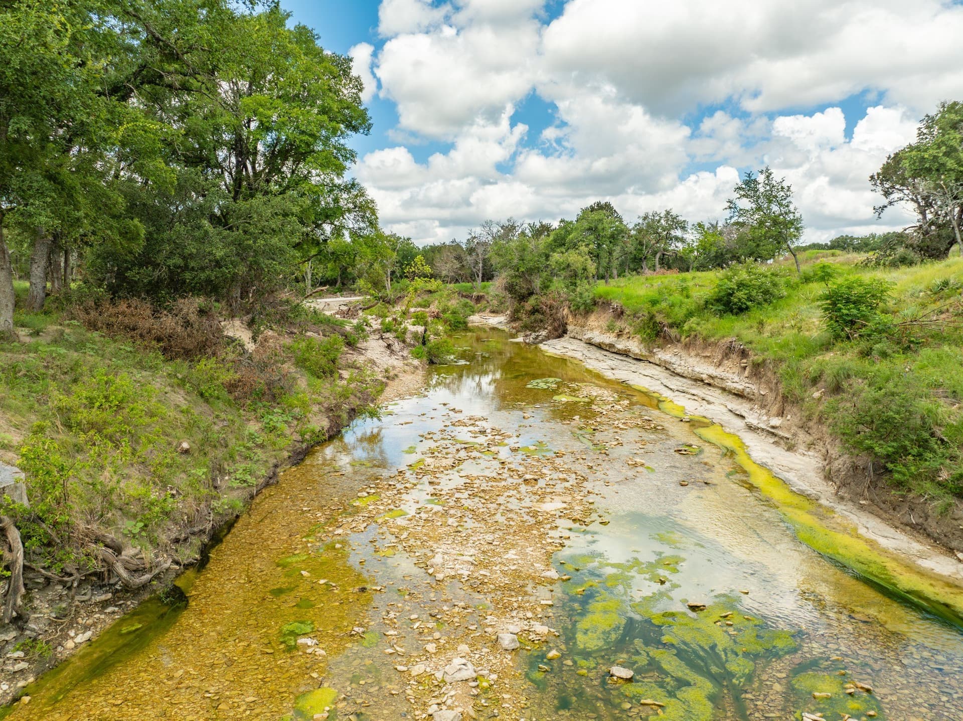 10.01 acres in Coryell County gallery image 3