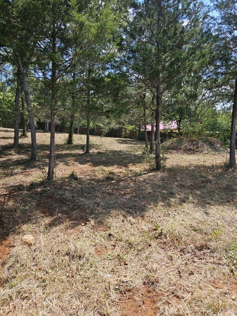 0.41 acres in Smith County - photo 2