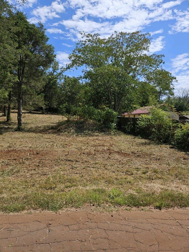 0.41 acres in Smith County - photo 3