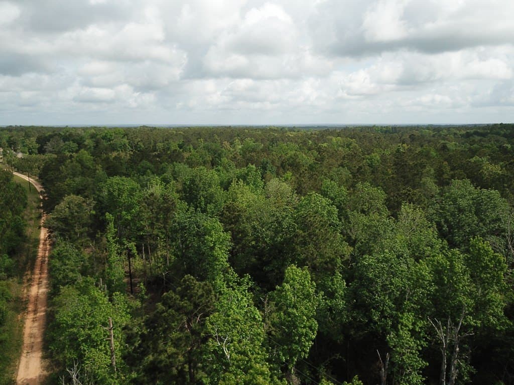10 acres in Texas County - photo 9