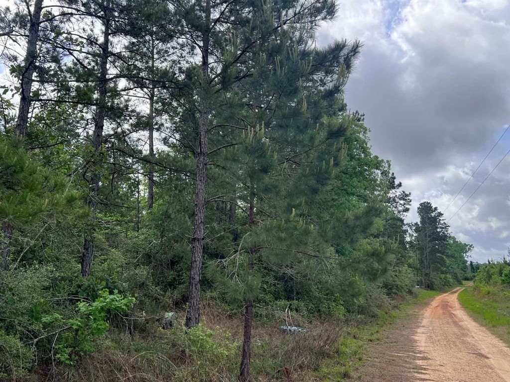 10 acres in Texas County - photo 10