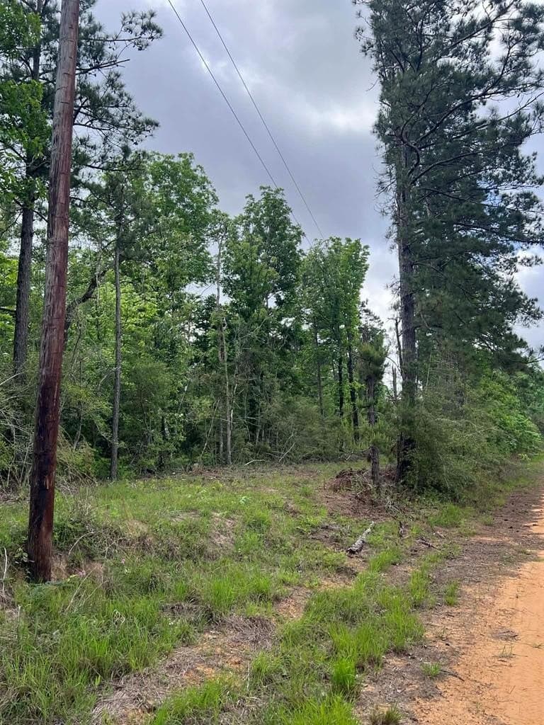10 acres in Texas County - photo 11