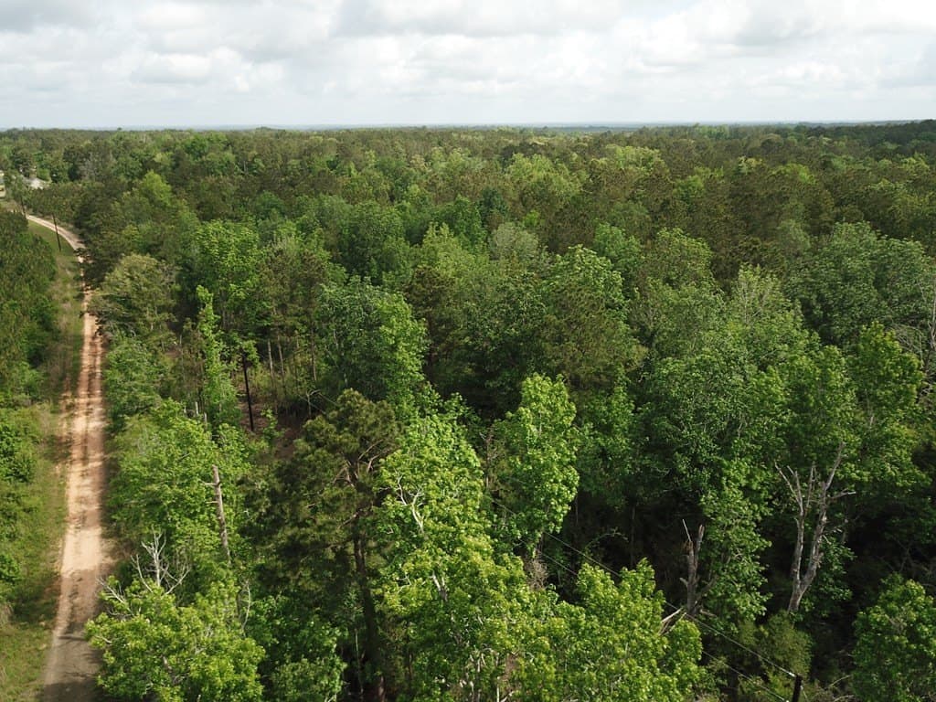 10 acres in Texas County - photo 8