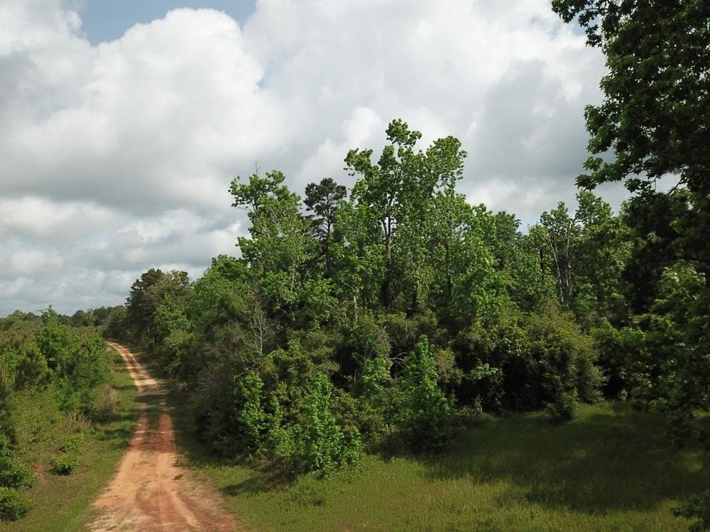10 acres in Texas County - photo 12