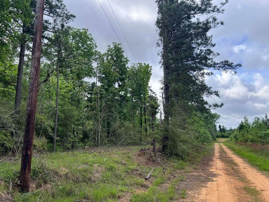 10 acres in Texas County - photo 6