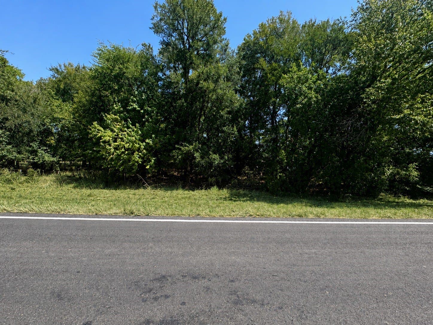 12.42 acres in Lamar County - photo 7