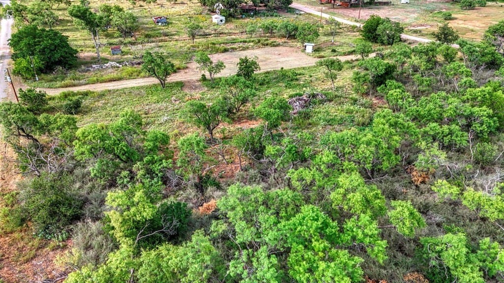 4 acres in Llano County - photo 14