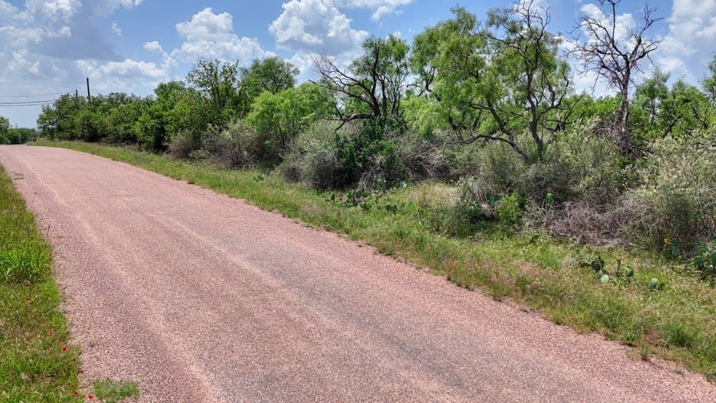 4 acres in Llano County - photo 25