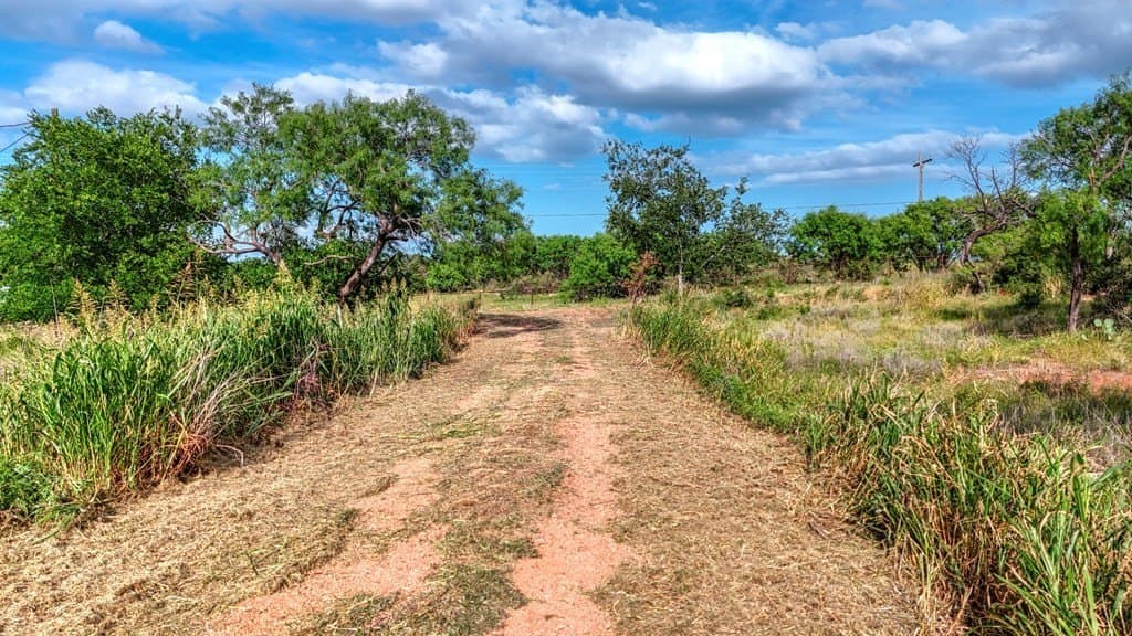 4 acres in Llano County - photo 7