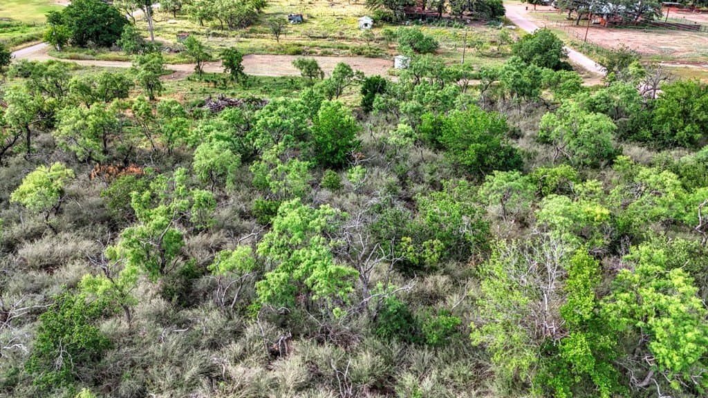 4 acres in Llano County - photo 15