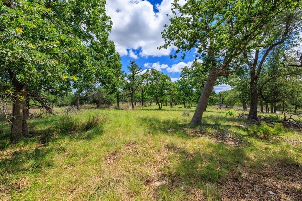 34.74 acres in Kendall County - photo 6
