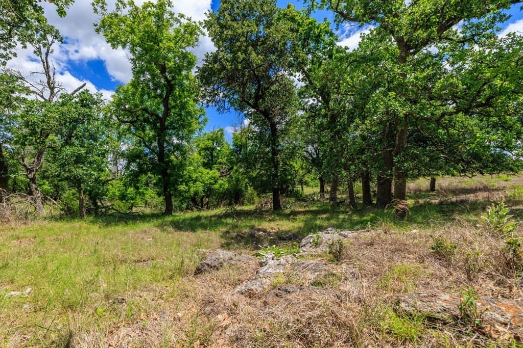 34.74 acres in Kendall County - photo 13