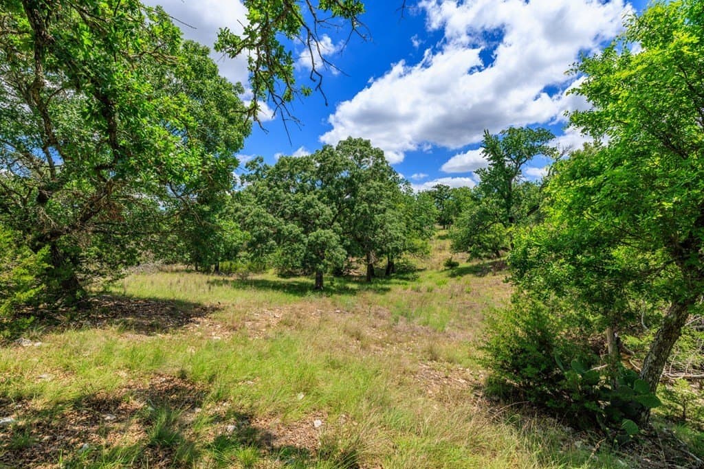 34.74 acres in Kendall County - photo 12