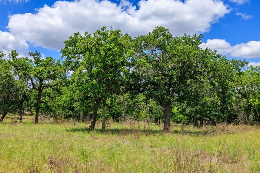 34.74 acres in Kendall County - photo 10