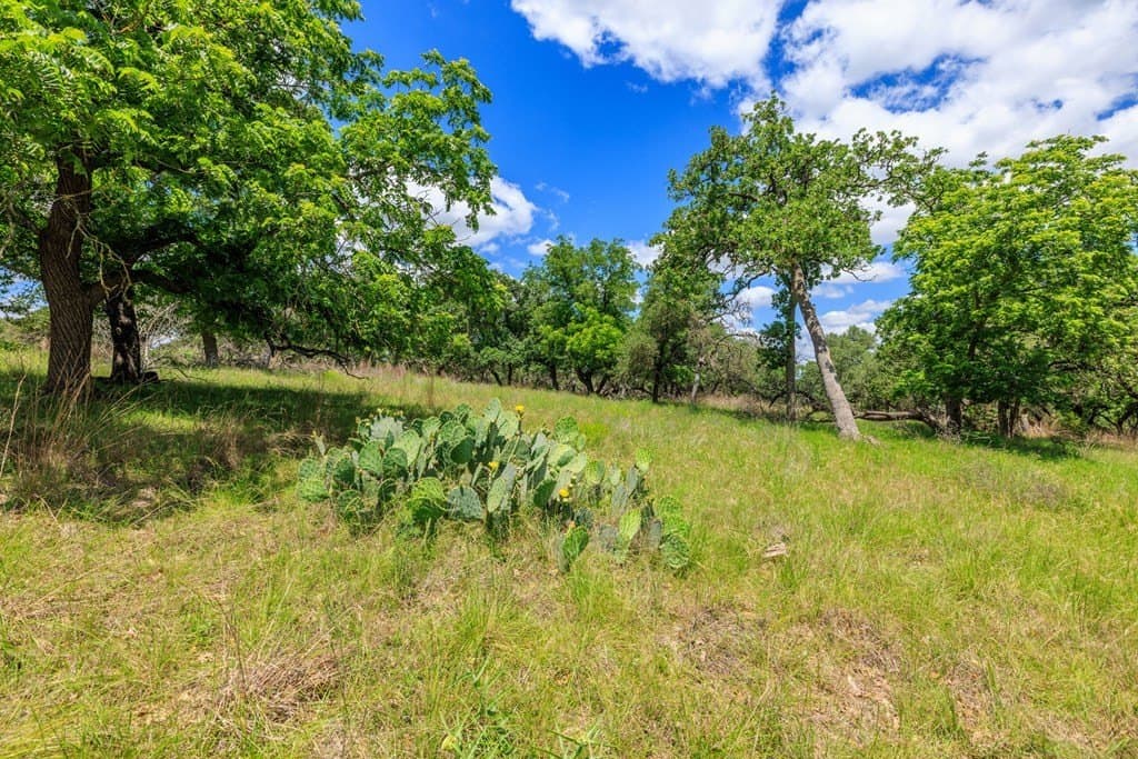 34.74 acres in Kendall County - photo 17