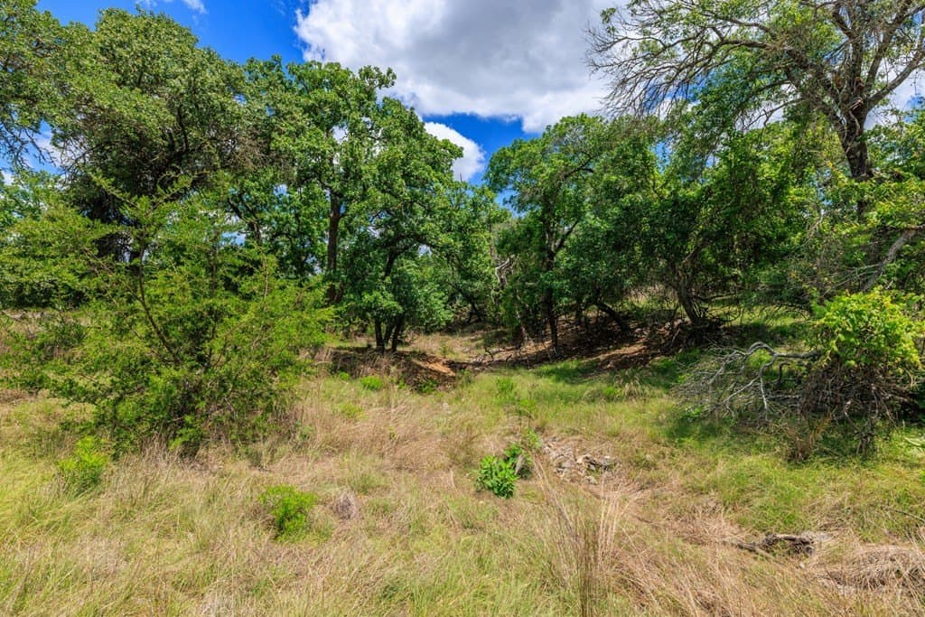 34.74 acres in Kendall County - photo 16