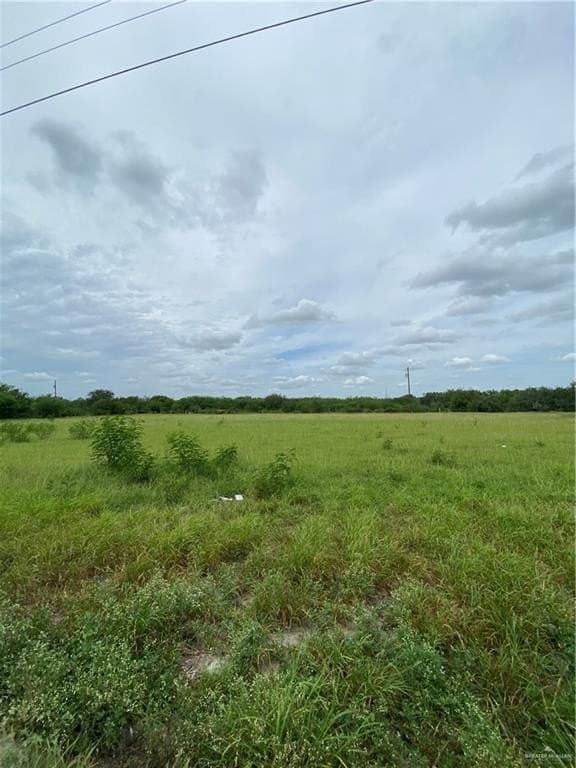 17.14 acres in Hidalgo County gallery image 2