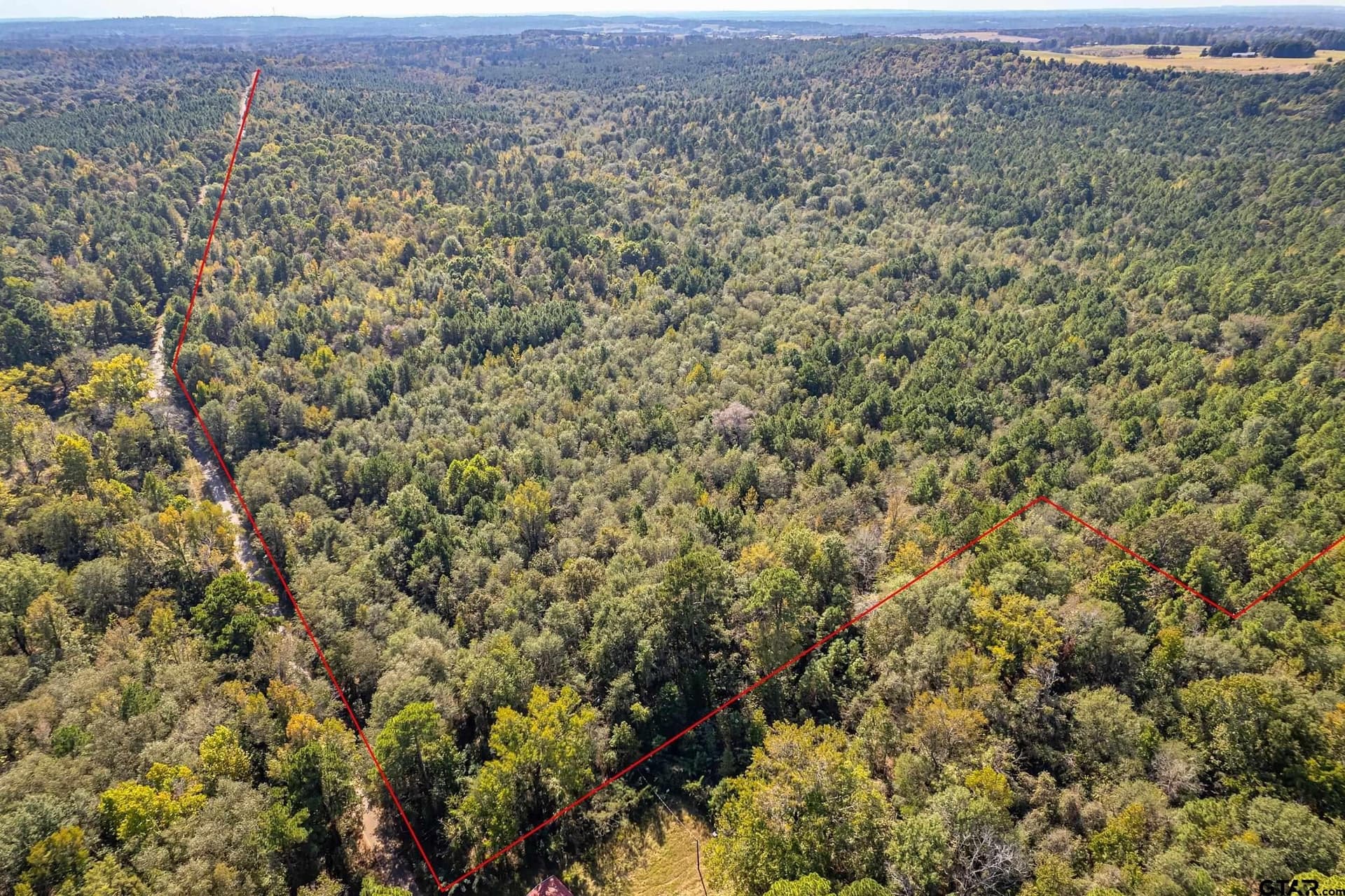 354 acres in Smith County featured view