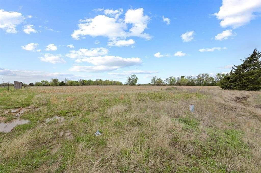 1.67 acres in Fannin County gallery image 3