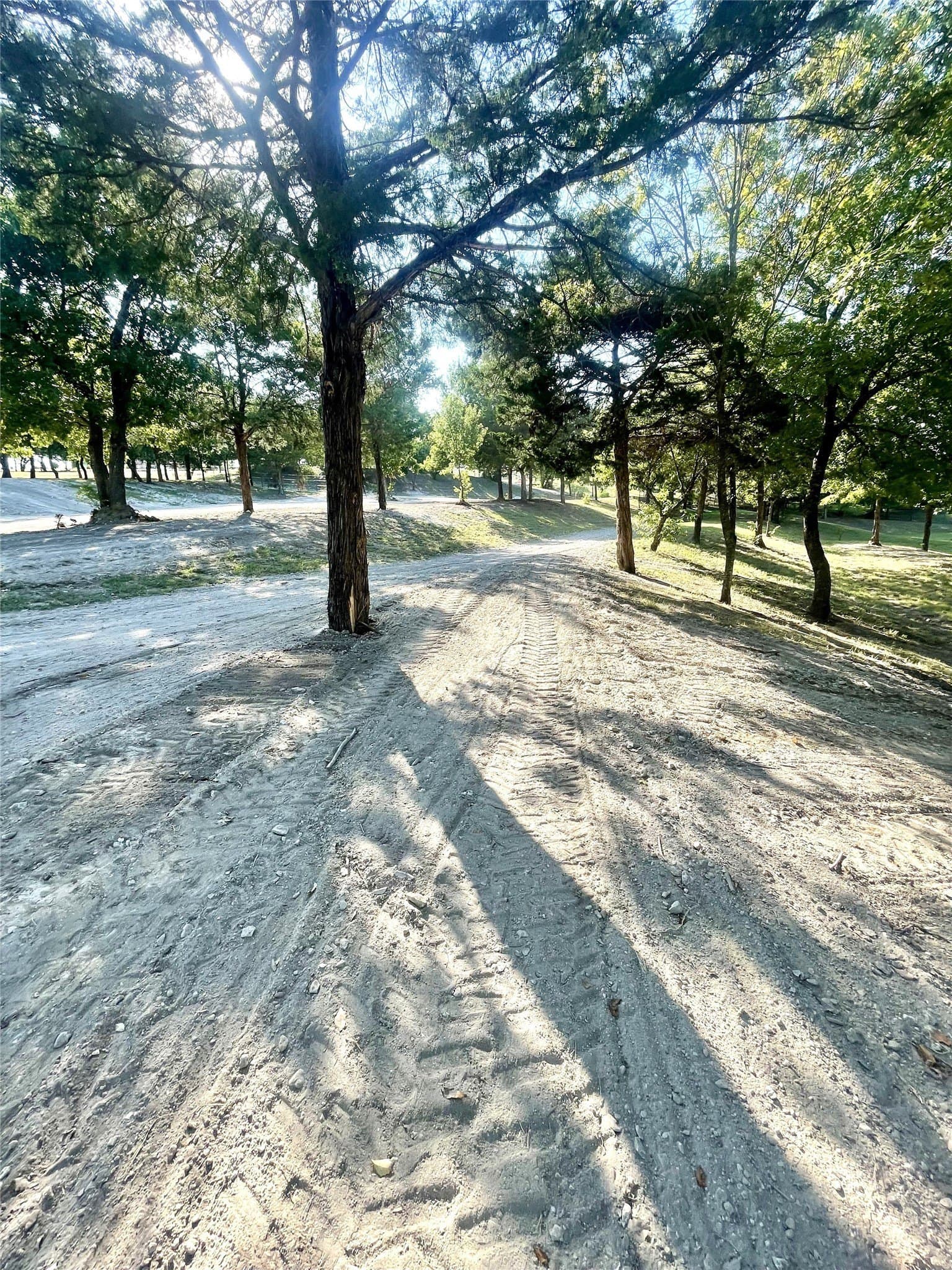 2.8 acres in Collin County - photo 22