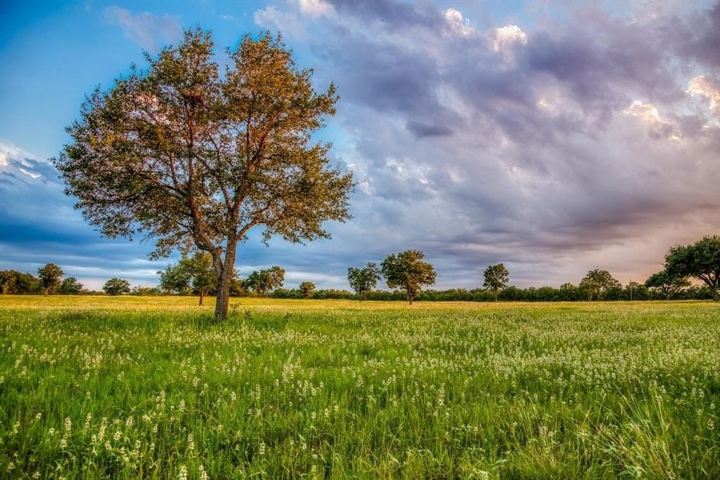 133.88 acres in Burleson County featured view