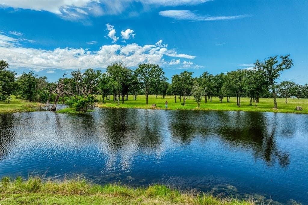 133.88 acres in Burleson County gallery image 2