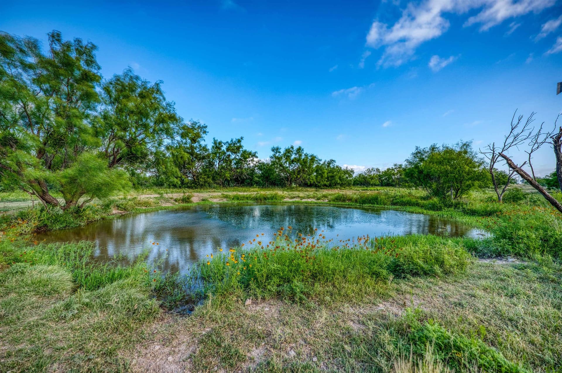 750 acres in Out of Area County
