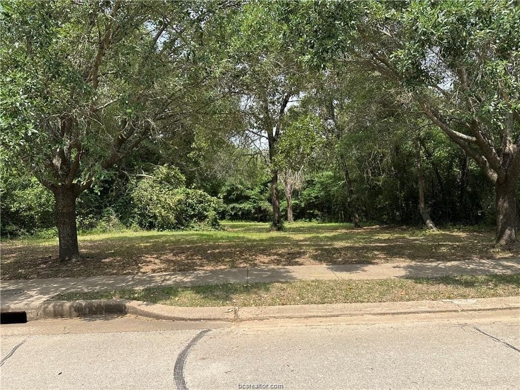 0.31 acres in Brazos County