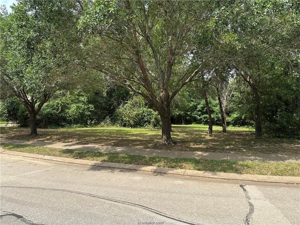 0.31 acres in Brazos County gallery image 2