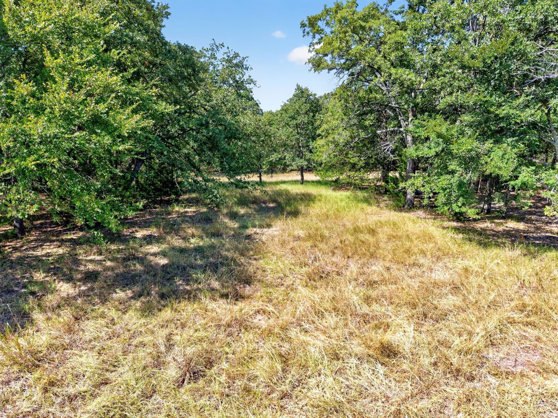 10 acres in Kaufman County - photo 31