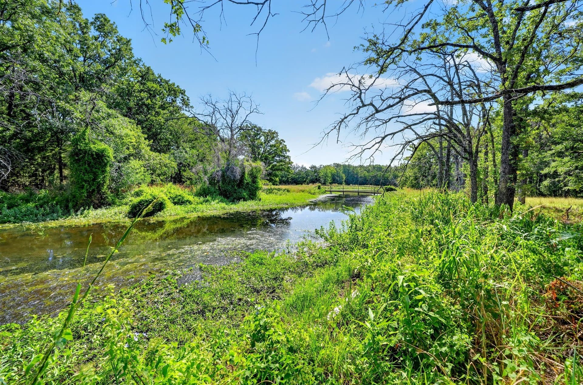 10 acres in Kaufman County - photo 36