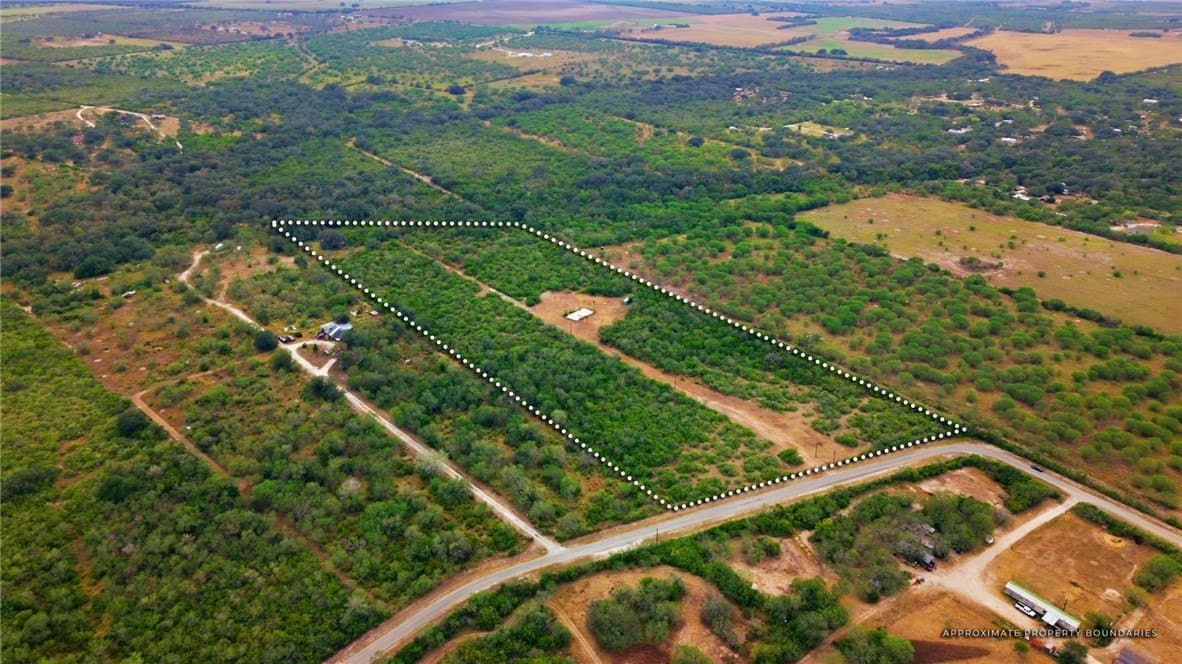 10 acres in Bee County - photo 4