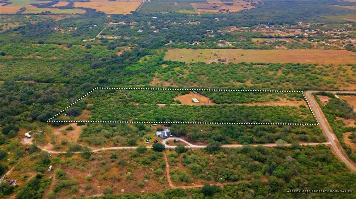 10 acres in Bee County - photo 3