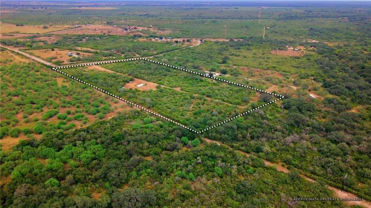 10 acres in Bee County - photo 8
