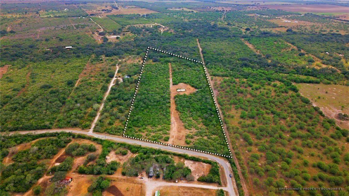 10 acres in Bee County - photo 5