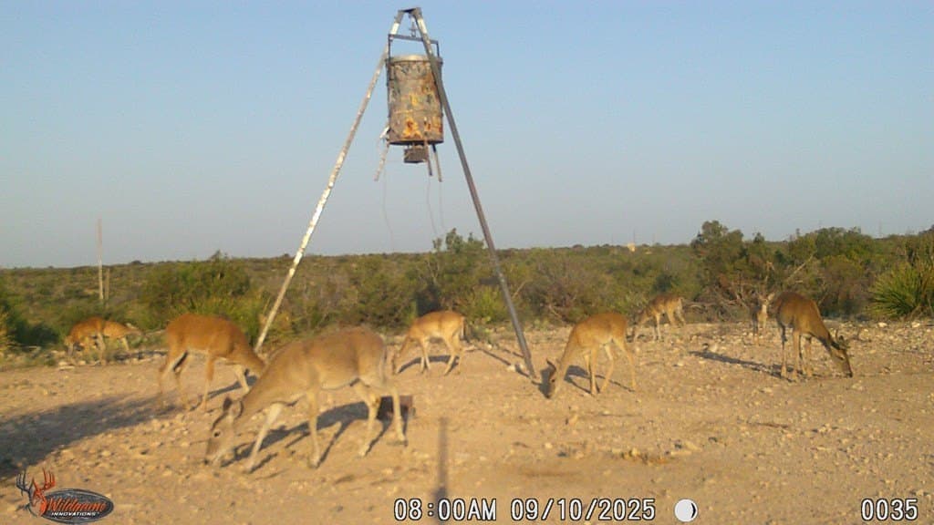 2,472.72 acres in Terrell County - photo 6