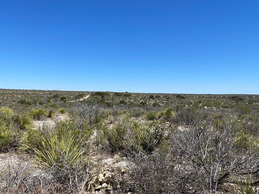 2,472.72 acres in Terrell County - photo 22