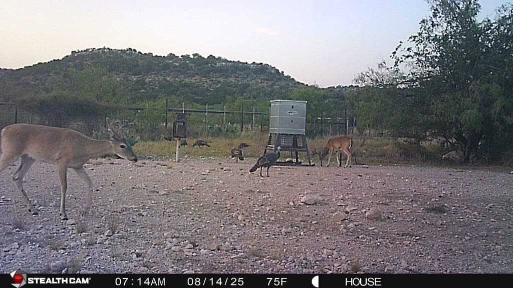 2,472.72 acres in Terrell County featured view