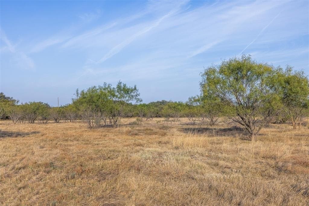 24.1 acres in McCulloch County gallery image 2