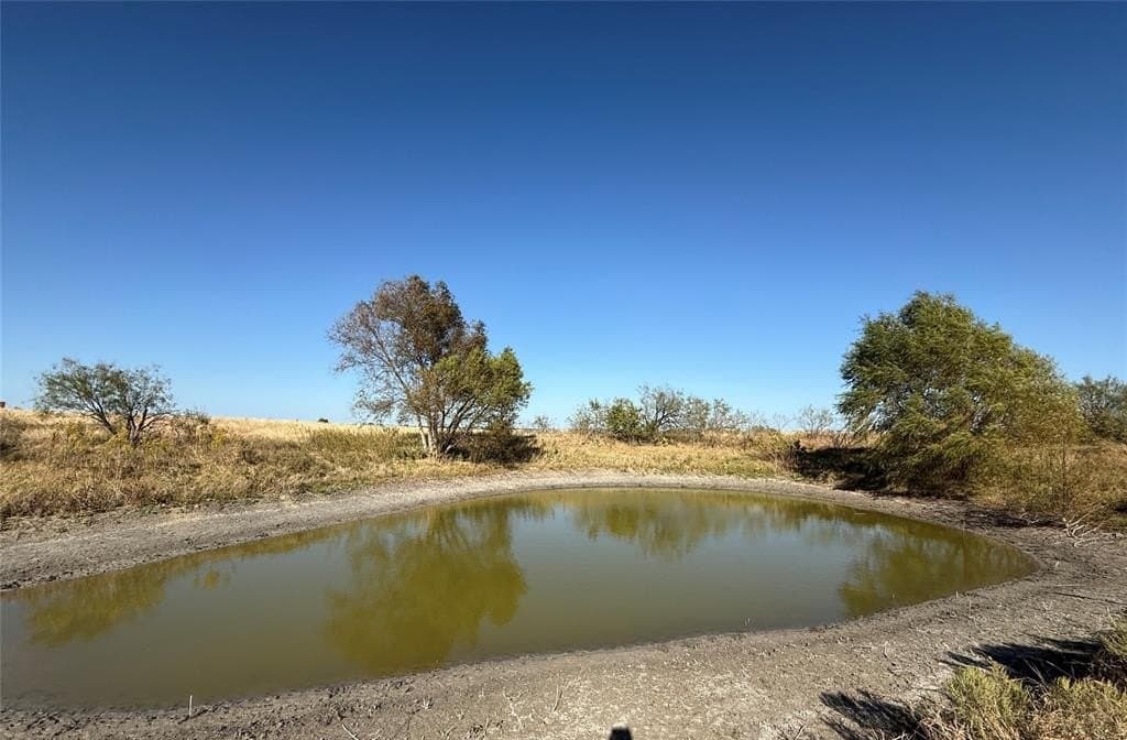 54.48 acres in Falls County gallery image 4