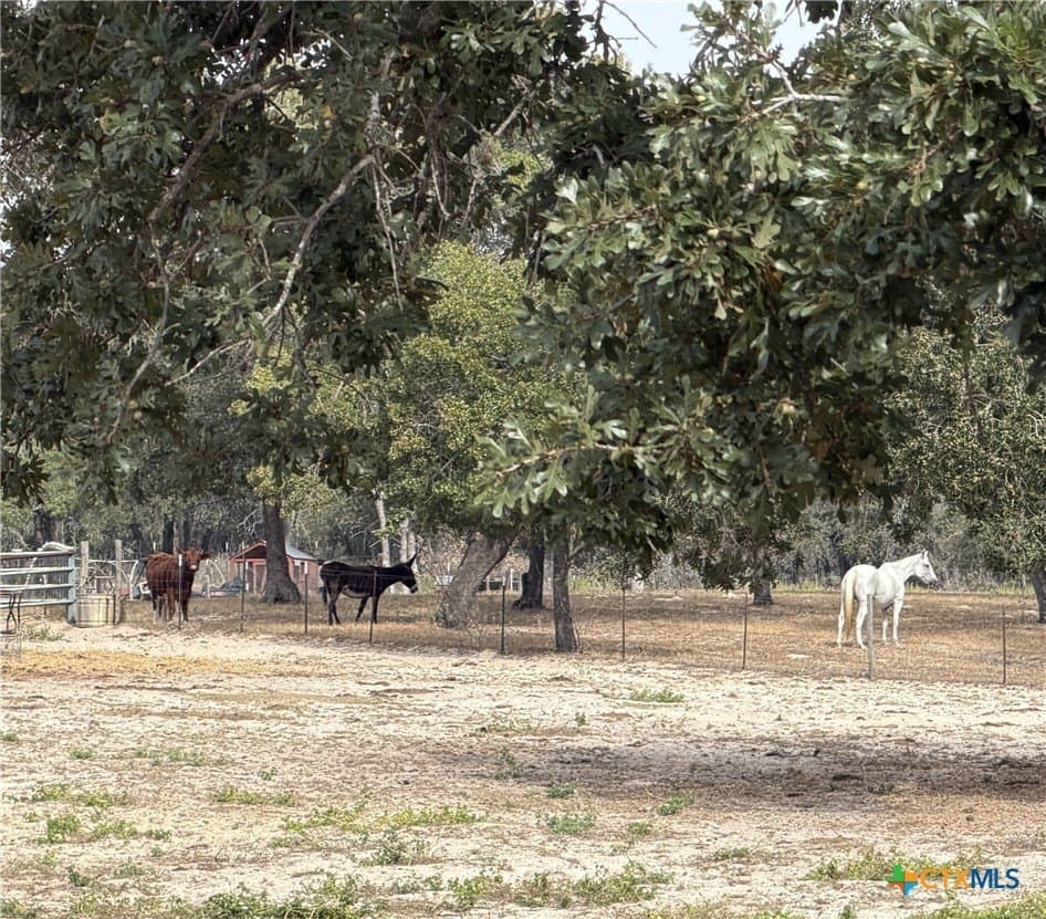12.18 acres in Wilson County - photo 17