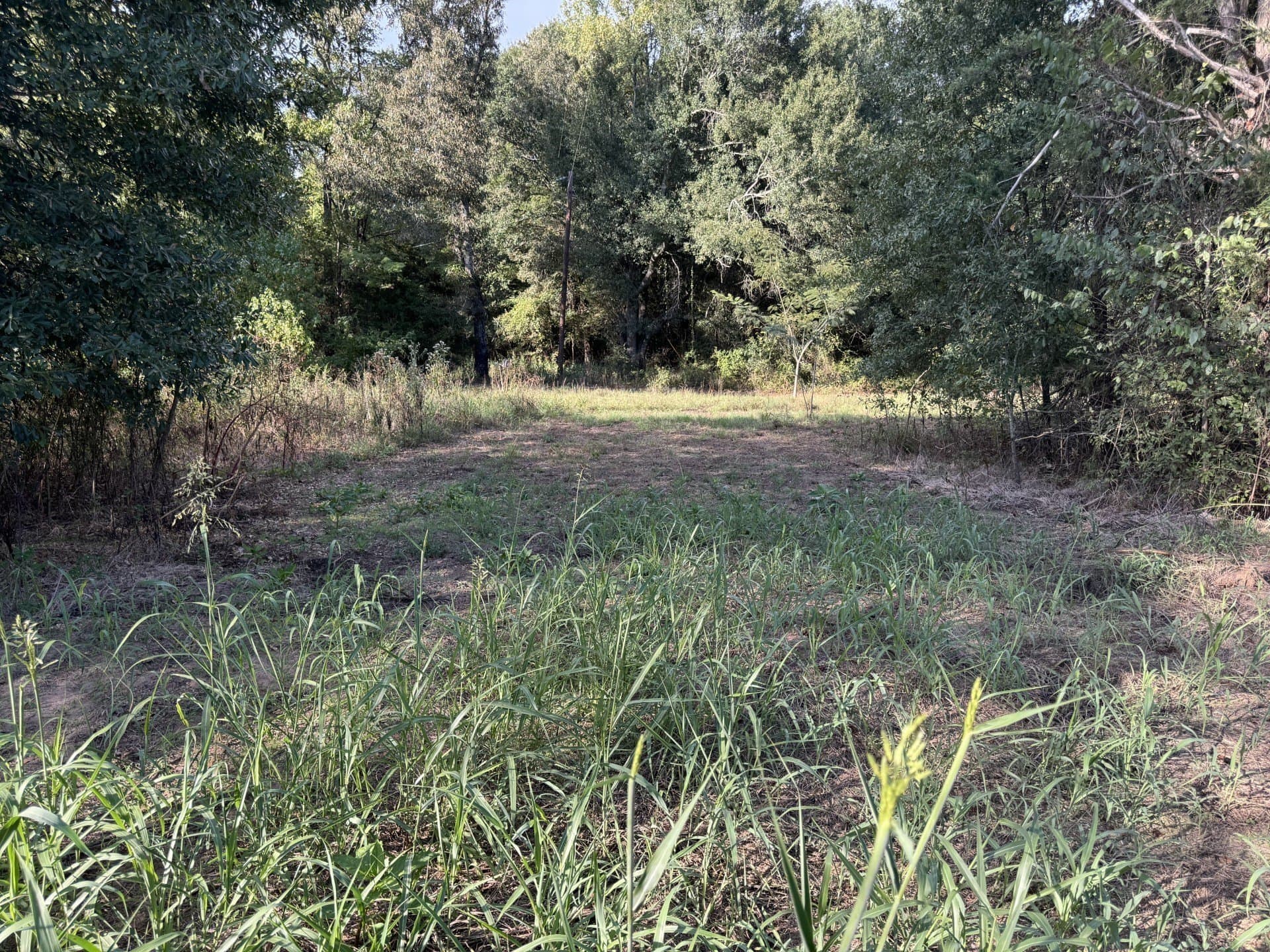 1.75 acres in Red River (TX) County gallery image 3