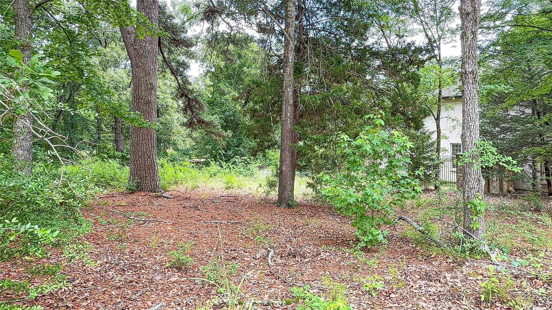 0.41 acres in Smith County gallery image 4