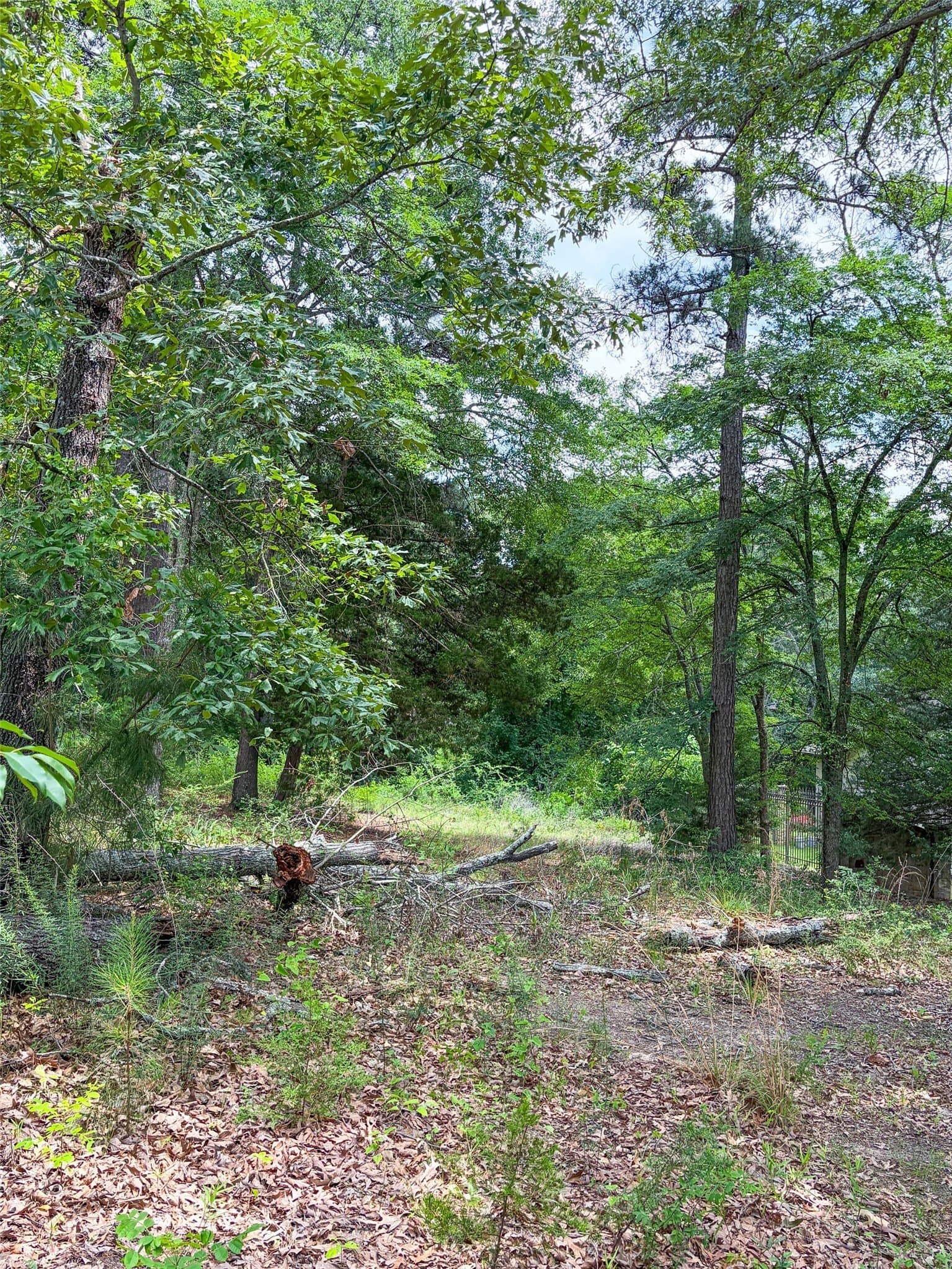 0.41 acres in Smith County - photo 7