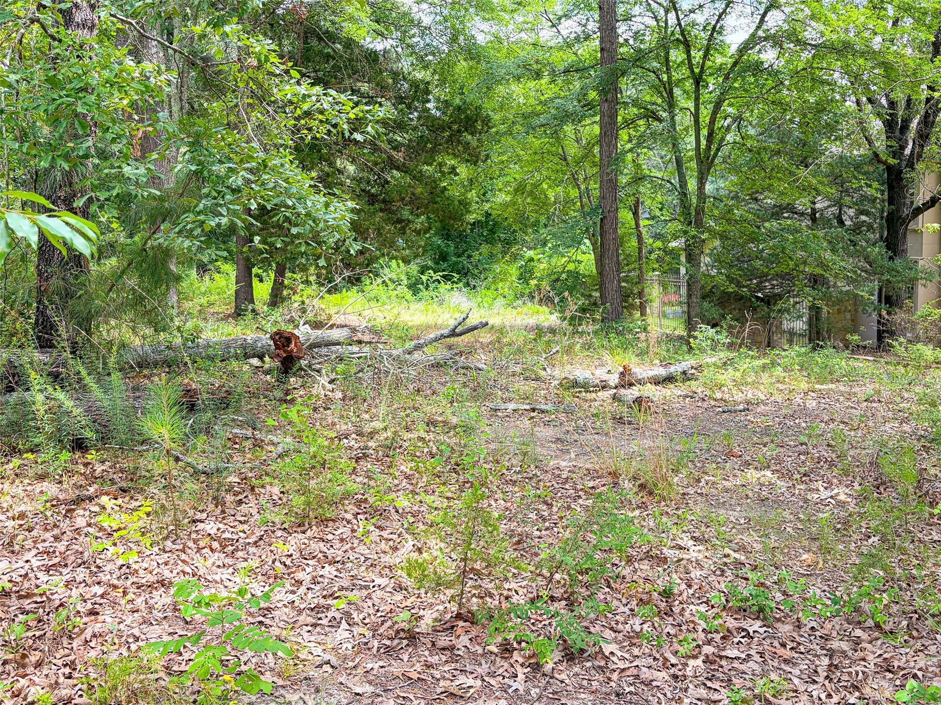 0.41 acres in Smith County - photo 6