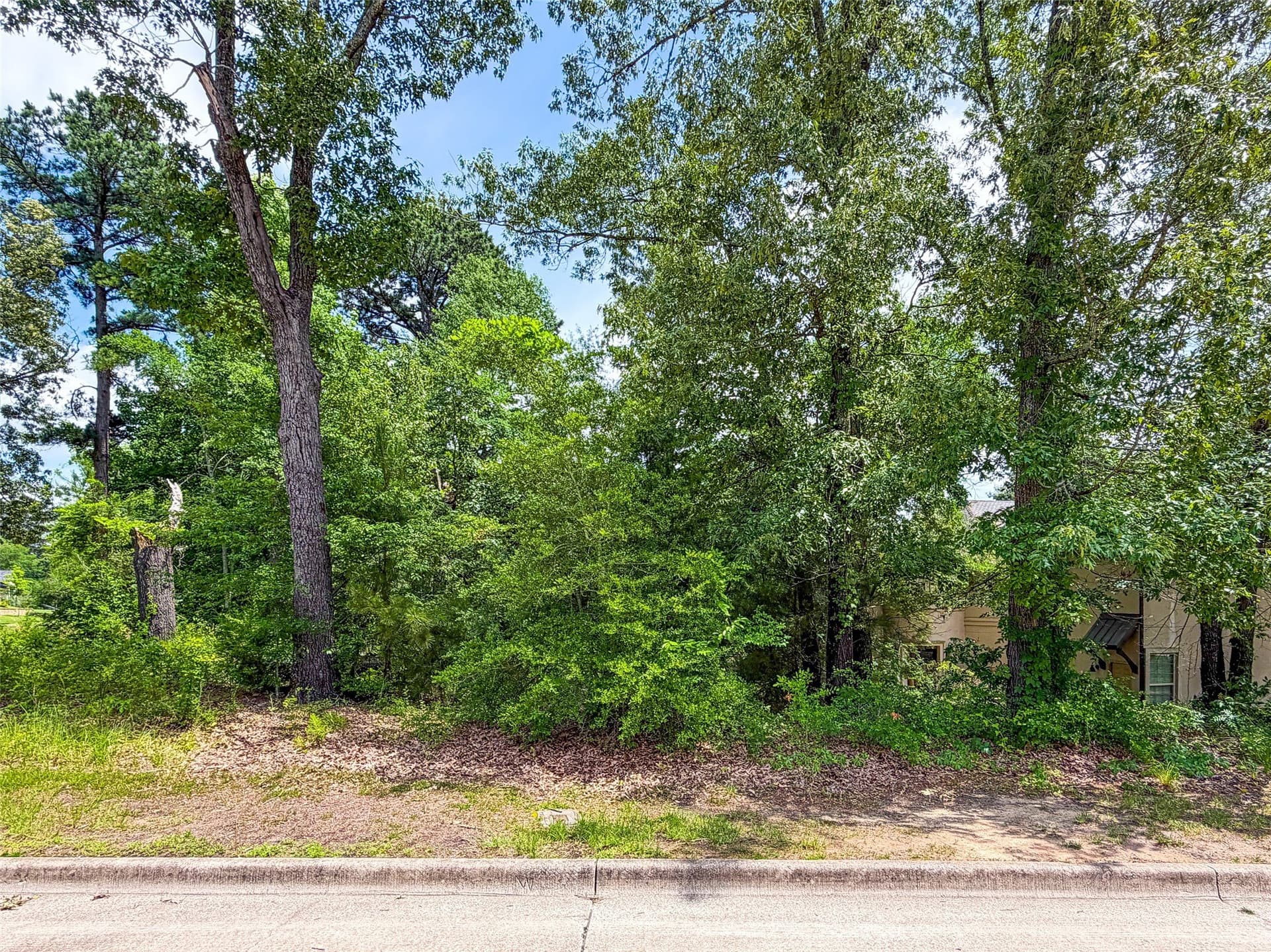 0.41 acres in Smith County gallery image 2