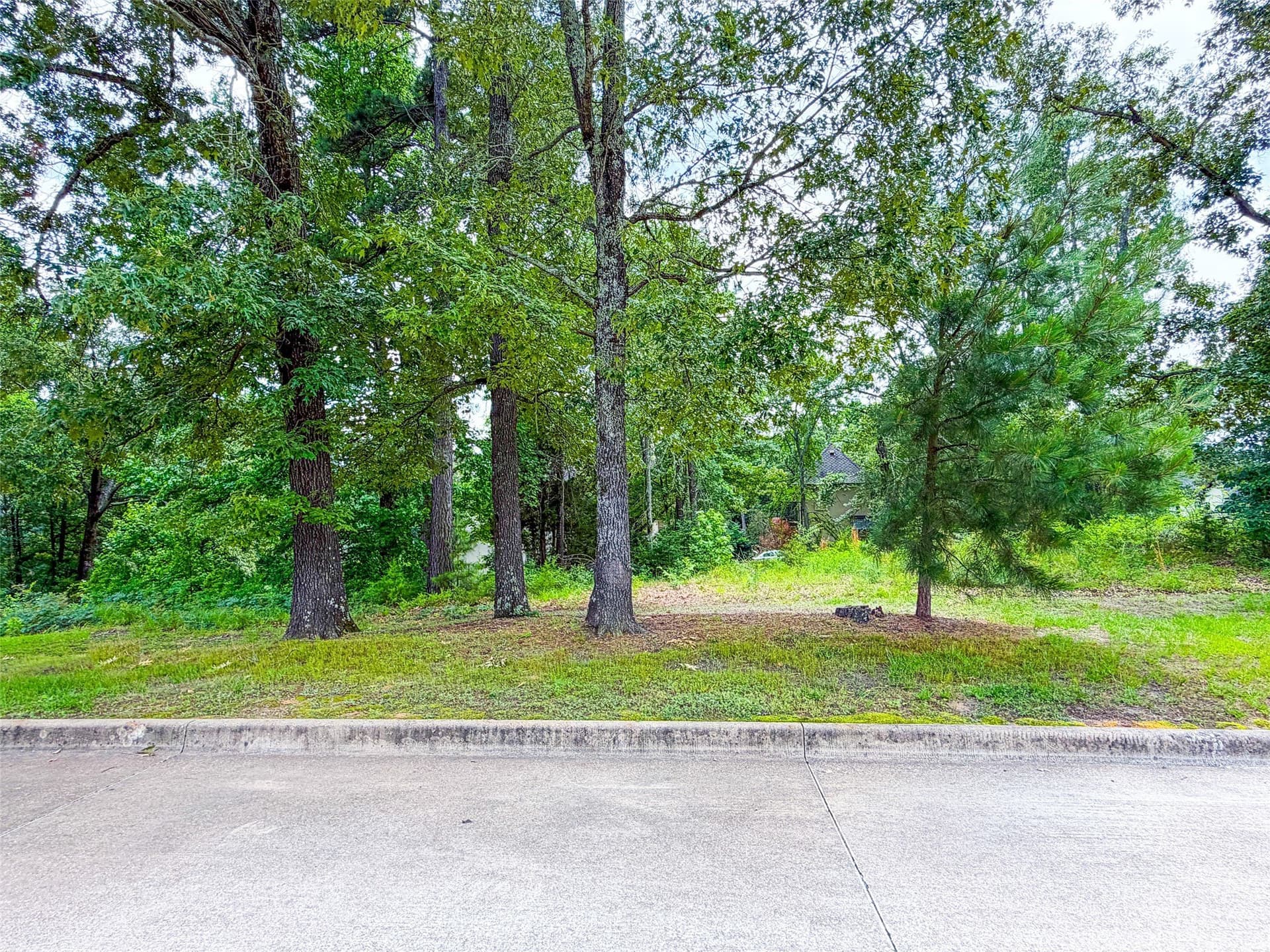 0.41 acres in Smith County gallery image 3