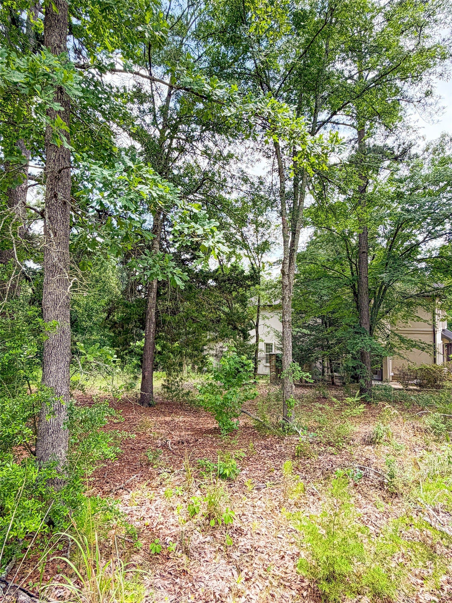 0.41 acres in Smith County featured view